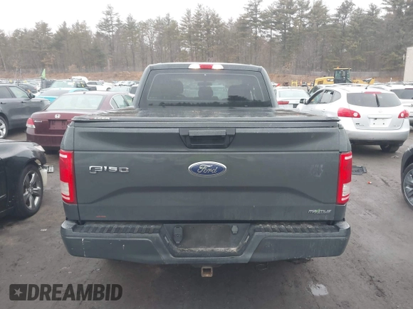 2017 Ford F-150 XL with VIN 1FTEX1E89HKD96516, listed as a IAAI auction lot 41609804 with 166,019 mi miles. Bid and sale history available at carsss.com. Image 16.