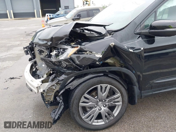 2021 Honda Passport EX-L с VIN 5FNYF8H58MB013506, выставлен на аукционе IAAI как лот 42256449 с пробегом 36 828 миль миль и . История ставок и продаж доступна на DreamBid. Изображение 19.