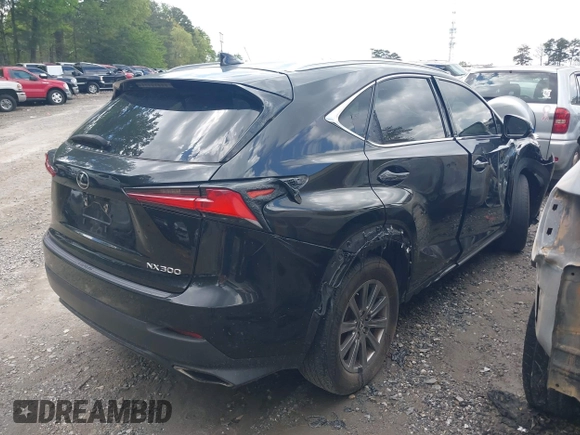 2018 Lexus NX 300 with VIN JTJYARBZ8J2090839, listed as a IAAI auction lot 41660825 with 131,080 mi miles and . Bid and sale history available at DreamBid. Image 4.