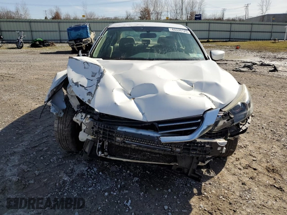 2015 Honda Accord Sedan LX with VIN 1HGCR2F3XFA220802, listed as a Copart auction lot 49339125 with Not Provided miles and Salvage Title. Bid and sale history available at carsss.com. Image 5.