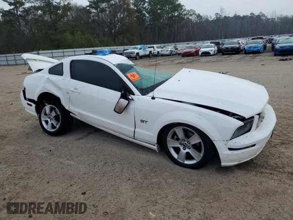 2006 Ford Mustang GT Deluxe with VIN 1ZVHT82H665248483, listed as a Copart auction lot 43163155 with 0 mi miles and Salvage Title. Bid and sale history available at carsss.com. Image 4.