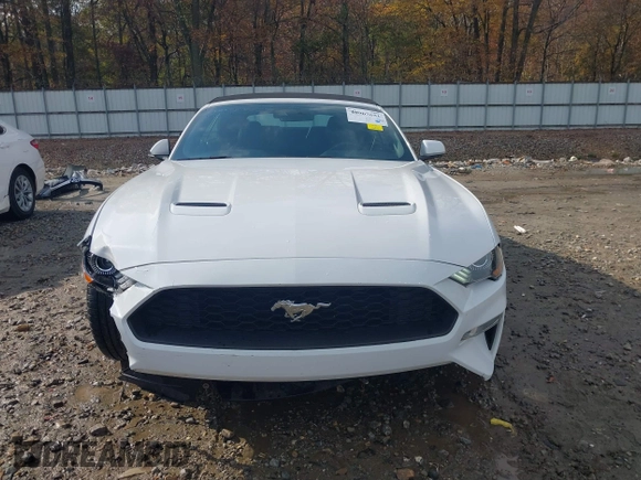 2021 Ford Mustang EcoBoost with VIN 1FATP8UH1M5105152, listed as a IAAI auction lot 40967651 with 81,514 mi miles and . Bid and sale history available at DreamBid. Image 13.