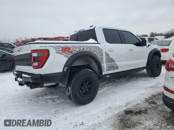 2023 Ford F-150 Raptor with VIN 1FTFW1RJXPFC55093, listed as a Copart auction lot 88436285 with 12,256 mi miles and Salvage Title. Bid and sale history available at DreamBid. Image 3.