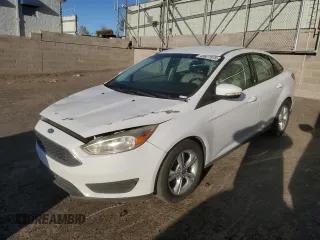 2013 Ford Focus SE with VIN 1FADP3F24DL234319, listed as a Copart auction lot 49627975 with Not Provided miles and Salvage Title. Bid and sale history available at DreamBid. Image 1.