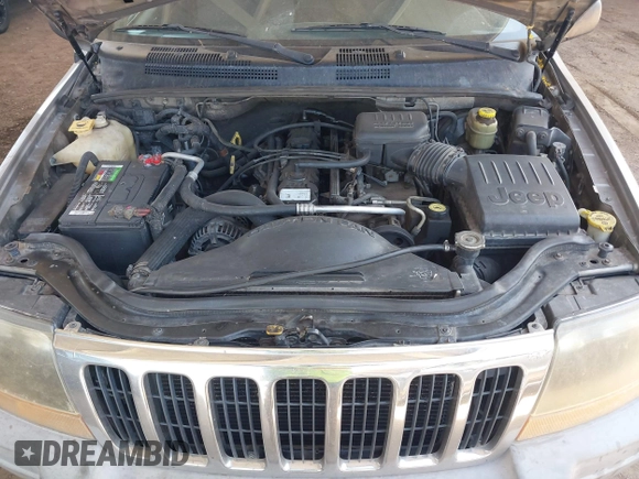 1999 Jeep Grand Cherokee Laredo with VIN 1J4G258S7XC679151, listed as a IAAI auction lot 42500706 with Not provided miles and . Bid and sale history available at DreamBid. Image 10.