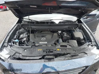 2019 Mazda CX-9 Touring with VIN JM3TCBCY4K0329506, listed as a IAAI auction lot 41800492 with 67,052 mi miles. Bid and sale history available at carsss.com. Image 10.