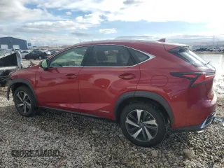2020 Lexus NX with VIN JTJGJRDZ0L2143996, listed as a Copart auction lot 87661585 with 47,307 mi miles and Salvage Title. Bid and sale history available at carsss.com. Image 2.