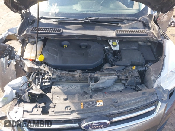 2016 Ford Escape Titanium with VIN 1FMCU9J96GUB96009, listed as a IAAI auction lot 41866127 with 132,990 mi miles and . Bid and sale history available at DreamBid. Image 10.