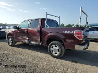 2009 Ford F-150 XL with VIN 1FTRW14889KC37087, listed as a Copart auction lot 58106134 with 225,464 mi miles and Salvage Title. Bid and sale history available at DreamBid. Image 2.