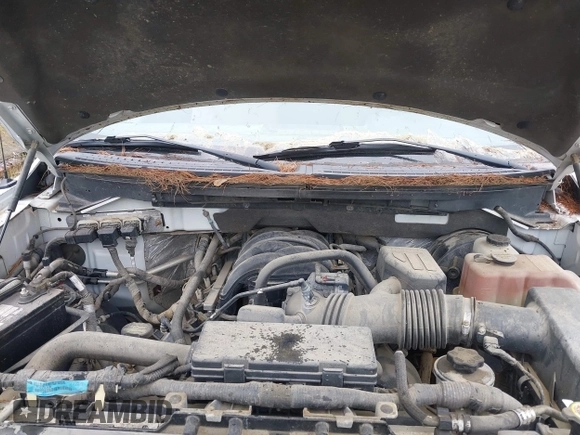 2009 Ford F-150 XL с VIN 1FTRF12899KB32240, выставлен на аукционе IAAI как лот 42437862 с пробегом 174 045 миль миль и . История ставок и продаж доступна на DreamBid. Изображение 10.