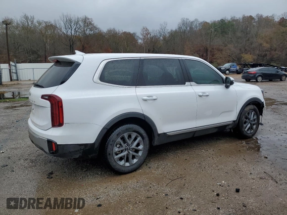 2024 Kia Telluride LX with VIN 5XYP24GC3RG467730, listed as a Copart auction lot 85728044 with 19,806 mi miles and Salvage title. Bid and sale history available at DreamBid. Image 3.