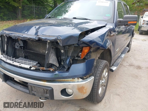 2013 Ford F-150 XL with VIN 1FTFW1ET0DFB16965, listed as a IAAI auction lot 42503215 with 194,637 mi miles and . Bid and sale history available at DreamBid. Image 6.