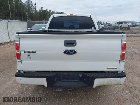 2013 Ford F-150 XL with VIN 1FTFX1CFXDFC69539, listed as a IAAI auction lot 41596646 with 112,098 mi miles. Bid and sale history available at carsss.com. Image 16.