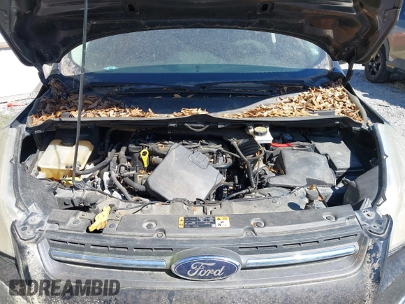 2014 Ford Escape SE with VIN 1FMCU0GX6EUC16564, listed as a IAAI auction lot 41862526 with 1 mi miles. Bid and sale history available at carsss.com. Image 10.