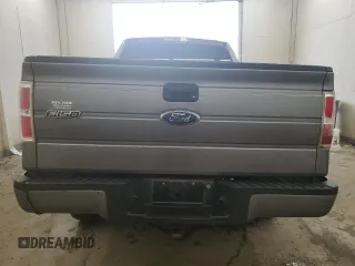 2010 Ford F-150 XL with VIN 1FTEX1CW0AFB44606, listed as a Copart auction lot 56570045 with 166,448 mi miles and Salvage title. Bid and sale history available at DreamBid. Image 6.