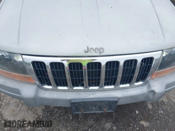 2000 Jeep Grand Cherokee Laredo with VIN 1J4GW48N9YC191779, listed as a IAAI auction lot 42378307 with 224,836 mi miles and . Bid and sale history available at DreamBid. Image 6.