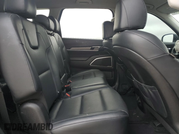 2022 Kia Telluride LX with VIN 5XYP24HCXNG222805, listed as a Copart auction lot 44825665 with 85,316 mi miles and Salvage title. Bid and sale history available at DreamBid. Image 11.
