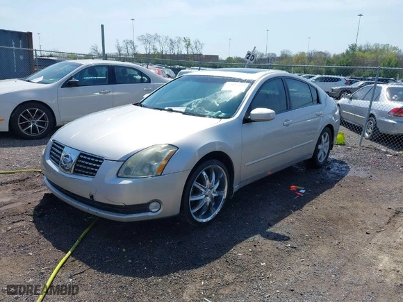 2004 Nissan Maxima SL with VIN 1N4BA41E84C822059, listed as a IAAI auction lot 42032195 with 213,650 mi miles. Bid and sale history available at carsss.com. Image 2.