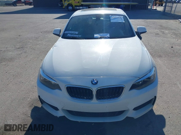 2016 BMW 2 Series 228i with VIN WBA1F5C53GV343757, listed as a IAAI auction lot 39804829 with 100,965 mi miles and . Bid and sale history available at DreamBid. Image 12.