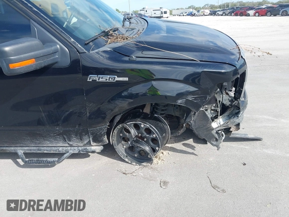 2011 Ford F-150 XL with VIN 1FTEX1CM0BFD22126, listed as a IAAI auction lot 41446817 with 202,609 mi miles and . Bid and sale history available at DreamBid. Image 17.