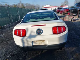 2010 Ford Mustang V6 with VIN 1ZVBP8AN7A5155689, listed as a IAAI auction lot 41775195 with 179,353 mi miles and . Bid and sale history available at DreamBid. Image 17.
