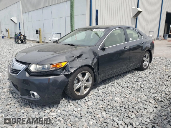 2013 Acura TSX with VIN JH4CU2F41DC009073, listed as a Copart auction lot 50339075 with 80,305 mi miles and Salvage Title. Bid and sale history available at carsss.com. Image 1.