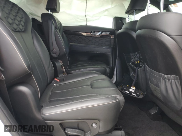 2020 Hyundai Palisade Limited with VIN KM8R5DHE7LU137851, listed as a Copart auction lot 49392825 with Not provided miles and Salvage title. Bid and sale history available at DreamBid. Image 12.