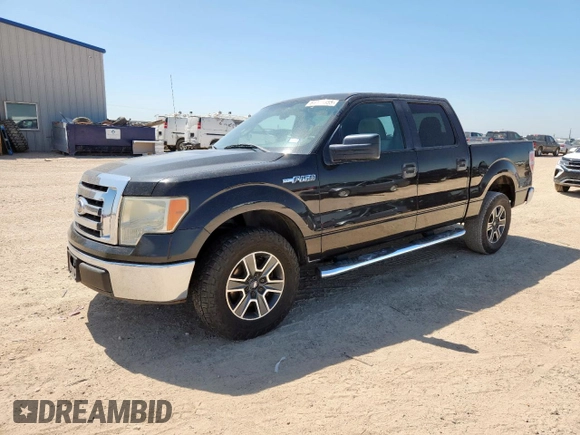 2010 Ford F-150 XL with VIN 1FTEW1C86AFC56413, listed as a Copart auction lot 61371355 with 251,151 mi miles and Salvage title. Bid and sale history available at DreamBid. Image 1.