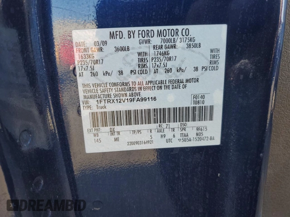 2009 Ford F-150 XLT with VIN 1FTRX12V19FA99116, listed as a Copart auction lot 84876434 with 169,975 mi miles and Salvage title. Bid and sale history available at DreamBid. Image 15.