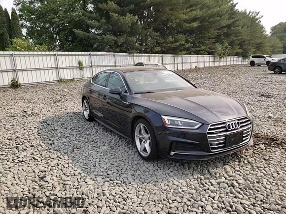 2018 Audi A5 Sportback Premium Plus with VIN WAUENCF54JA100459, listed as a Copart auction lot 53349513 with 48,719 mi miles. Bid and sale history available at carsss.com. Image 10.