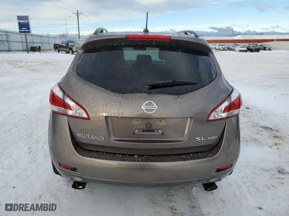 2011 Nissan Murano LE with VIN JN8AZ1MW3BW165947, listed as a Copart auction lot 88074165 with 133,426 mi miles and Clean Title. Bid and sale history available at carsss.com. Image 6.