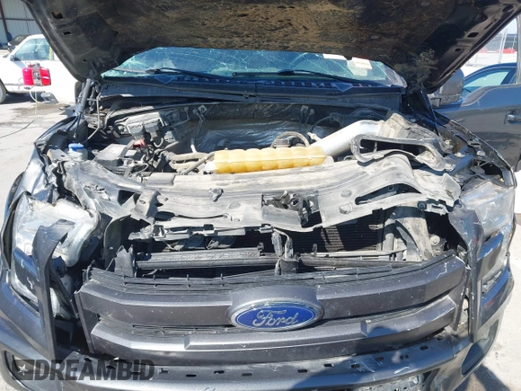 2017 Ford F-150 XL with VIN 1FTEW1EFXHKC56508, listed as a IAAI auction lot 41849739 with 149,209 mi miles and . Bid and sale history available at DreamBid. Image 10.