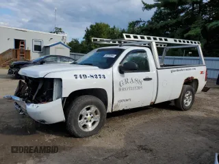 2009 Chevrolet Silverado 1500 with VIN 1GCEK24J89Z150770, listed as a Copart auction lot 66755994 with 240,924 mi miles and Salvage Title. Bid and sale history available at DreamBid. Image 1.