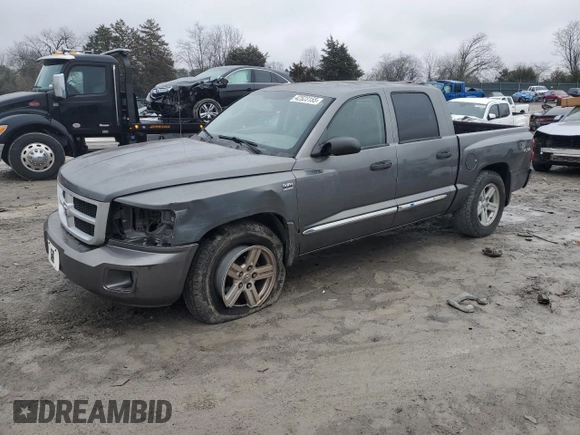 2010 Dodge Dakota Bighorn/Lonestar with VIN 1D7CW3GP5AS130822, listed as a Copart auction lot 42523155 with 103,081 mi miles and Salvage Title. Bid and sale history available at carsss.com. Image 1.
