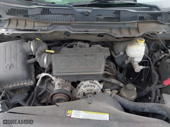 2010 Dodge Ram 1500 ST with VIN 1D7RB1CP4AS101599, listed as a IAAI auction lot 41076441 with 229,781 mi miles. Bid and sale history available at carsss.com. Image 10.