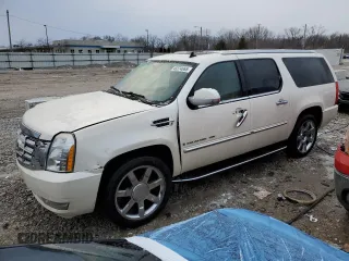 2009 Cadillac Escalade ESV с VIN 1GYFK26249R197251, выставлен на аукционе Copart как лот 45374065 с пробегом 255 823 миль миль и Списание • Salvage title. История ставок и продаж доступна на DreamBid. Изображение 1.