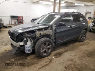 2016 Jeep Cherokee Latitude with VIN 1C4PJLCS0GW342341, listed as a Copart auction lot 48178495 with 141,876 mi miles and Salvage Title. Bid and sale history available at carsss.com. Image 1.