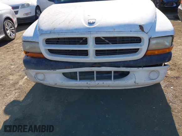 1999 Dodge Dakota SLT with VIN 1B7FL26X1XS190195, listed as a IAAI auction lot 41355250 with 223,174 mi miles. Bid and sale history available at carsss.com. Image 6.