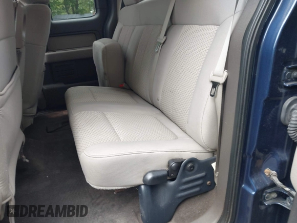 2010 Ford F-150 XL with VIN 1FTFX1EV6AFB54842, listed as a IAAI auction lot 42441003 with 183,415 mi miles and . Bid and sale history available at DreamBid. Image 8.