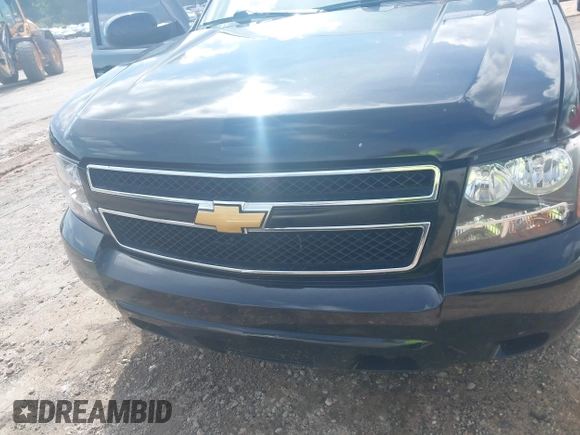 2012 Chevrolet Tahoe LS with VIN 1GNSKAE03CR161838, listed as a IAAI auction lot 42509184 with 179,911 mi miles and . Bid and sale history available at DreamBid. Image 13.