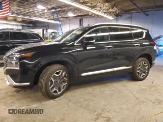 2021 Hyundai Santa Fe Calligraphy with VIN 5NMS5DAL5MH323833, listed as a Copart auction lot 41337795 with 54,484 mi miles and Salvage title. Bid and sale history available at DreamBid. Image 1.