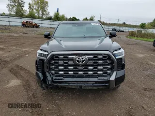 2022 Toyota Tundra Platinum with VIN 5TFNA5DB9NX028910, listed as a Copart auction lot 73638914 with 25,404 mi miles and Salvage title. Bid and sale history available at DreamBid. Image 5.