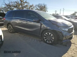 2024 Honda Odyssey EX-L with VIN 5FNRL6H69RB069598, listed as a Copart auction lot 81798314 with Not Provided miles and Salvage Title. Bid and sale history available at DreamBid. Image 4.
