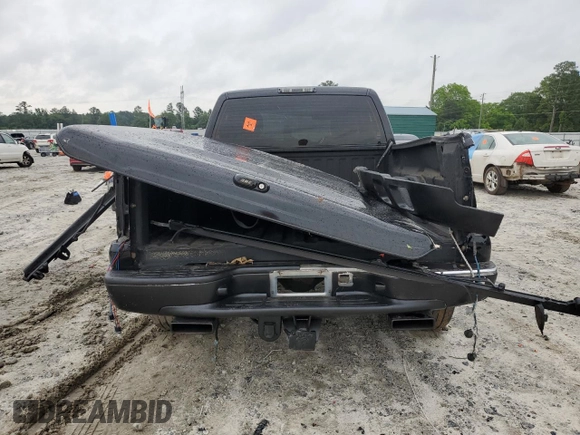 2005 Chevrolet Silverado 1500 LS with VIN 1GCEC14T45Z265515, listed as a Copart auction lot 58745165 with Not provided miles and Salvage title. Bid and sale history available at DreamBid. Image 6.