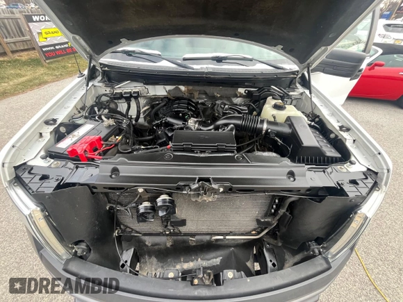2011 Ford F-150 XL with VIN 1FTMF1EM9BKD82344, listed as a Copart auction lot 85153504 with 96,262 mi miles and Clean title. Bid and sale history available at DreamBid. Image 7.