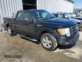 2009 Ford F-150 STX with VIN 1FTRX14899KC91625, listed as a Copart auction lot 49863945 with 203,946 mi miles and Salvage Title. Bid and sale history available at DreamBid. Image 4.