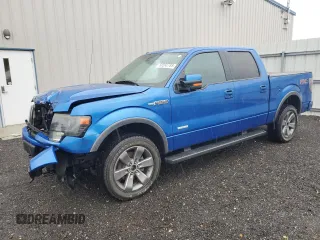 2013 Ford F-150 XL с VIN 1FTFW1ET3DFD38562, выставлен на аукционе Copart как лот 56592795 с пробегом 150 374 миль миль и Списание • Salvage title. История ставок и продаж доступна на DreamBid. Изображение 1.