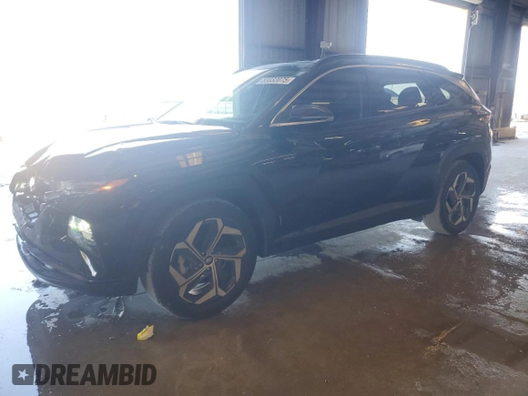 2022 Hyundai Tucson Limited with VIN 5NMJE3AE6NH152213, listed as a Copart auction lot 53332075 with 28,424 mi miles and Salvage Title. Bid and sale history available at carsss.com. Image 1.