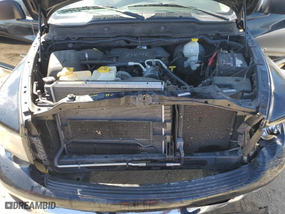 2005 Dodge Ram 1500 SLT with VIN 1D7HA18DX5S284462, listed as a Copart auction lot 49988125 with 188,911 mi miles and Salvage Title. Bid and sale history available at carsss.com. Image 11.