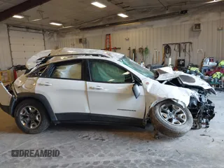 2019 Jeep Cherokee Trailhawk with VIN 1C4PJMBX1KD200300, listed as a IAAI auction lot 41781465 with Not Provided miles and . Bid and sale history available at DreamBid. Image 13.